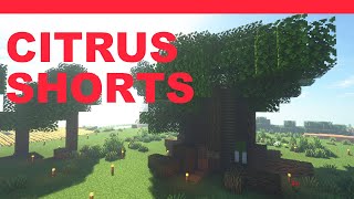 2 Room Tree Home | Minecraft Java Survival Lets Play #Shorts
I build a tree house because Im tired of people leaving floating trees in the area.
Follow me:
Official Discord: https://discord.gg/Jw9aafH
Patreon: https://www.patreon.com/CitrusRain
Twitch: https://www.twitch.tv/citrusthings
VOD Channel: https://www.youtube.com/channel/UCpc70w28yyscrEtVg248yfg
Twitters:
https://twitter.com/Inika_CThings - Good for the brand
https://twitter.com/CitrusRain - Might have politics
Hello, Im Citrus, and I make gaming videos, Minecraft is one of my favorite games, but someday, Im going to do variety content. The format of my lets play videos is inspired by Hermitcraft and while Im finally starting to figure out redstone, Ive always aimed to have good looking and creative builds. I almost always play survival mode, and I stick to vanilla because of the learning curve of modded packs... But world generation with vanilla blocks is fine.
Other Amazing Paper Players:
Locomotive2004 - https://www.youtube.com/channel/UCxX0XVVuzaM0qJlfhNaJWFg
Chesz Gaming - https://www.youtube.com/channel/UCA-Ogcjdq5QMrc1sxUvoPfw
MeLikePizza / Lt. Kek - https://www.youtube.com/channel/UCnJxHQaR14i-OzKO3ZKXVMQ
RevivedGrain - https://www.youtube.com/channel/UCdfIHF1WivZ8NoVb-SHYPWA
SpiderGaming - https://youtube.com/channel/UCO2rlcllQhQdPM8PZkqEAcA
IncorrectDigit - https://www.twitch.tv/incorrectdigit
Sojhi - https://www.twitch.tv/sojhi
Brattyyy - https://www.twitch.tv/brattyyy
IndianaJoneser - https://www.twitch.tv/indianajoneser
Server info:
KingdomCraft
IP ADDRESS: BoboCraft.mc.gg
Discord : https://discord.gg/kuRNcBYds8 2 Room Tree Home | Minecraft Java Survival Lets Play #Shorts