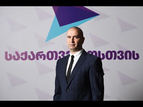 ბრიფინგი პარტიაში „საქართველოსთვის“