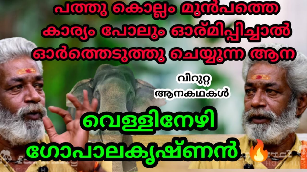 പത്തു കൊല്ലം മുൻപ് ബസ് കുത്തിയ കഥ ആനയെ ഓർമിപ്പിച്ചപ്പോൾ പിന്നെ സംഭവിച്ചത്  vellinezhi gopalakrishnan