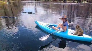 KAYAK SILVER SPRINGS & Florida wild Monkeys