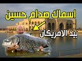 البحيرات الخاصة لقصر صدام الرئاسي