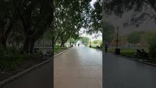 Walking through Hyde Park view, Sydney Australia, September 2023, part 5/7. #ViewsBlogger #walking