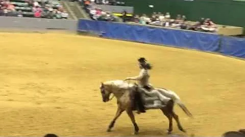 Indian Outlaw Reining Freestyle - Angie Reichert