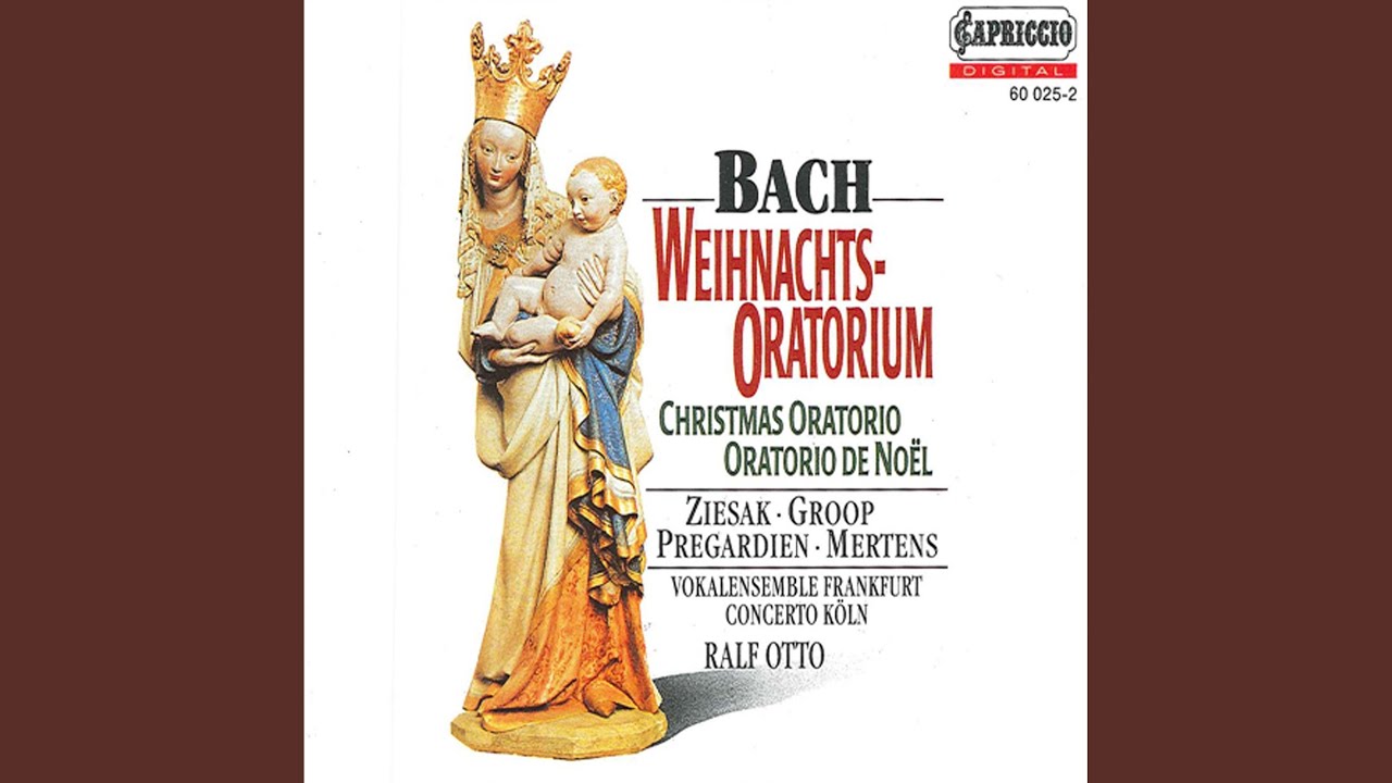 Christmas Oratorio, BWV 248: Part I: Aria: Grosser Herr, o starker Konig... (Bass)