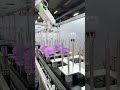 Revolutionize Your Production with Smart Conveyor Solutions!#palletconveyor #conveyor