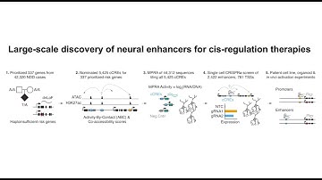 Large Scale Discovery of Nueral Enhancers for Cis-Regulation Therapies