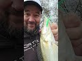 journée pêche au sandre sur la rivière Sarthe #fishinglife #sportex #leurre #carnassier #sarthe
