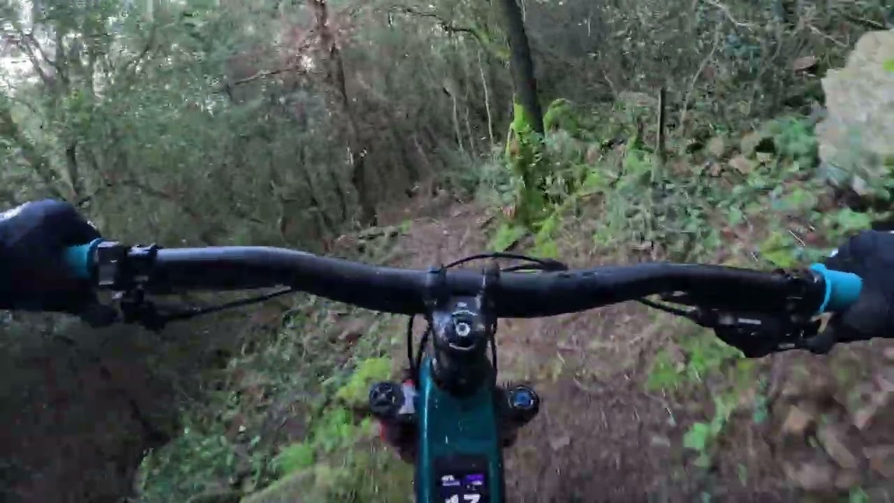 Piano piano ritrovando confidenza tra i bagnatissimi ma perfetti trail di Poggio 