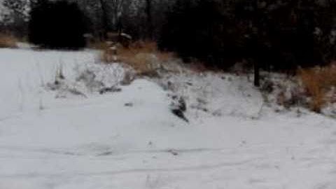 Super Slow Motion -- Snowboard Jump!