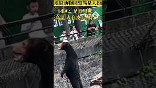 video: Chinese zoo forced to deny bear is person in disguise