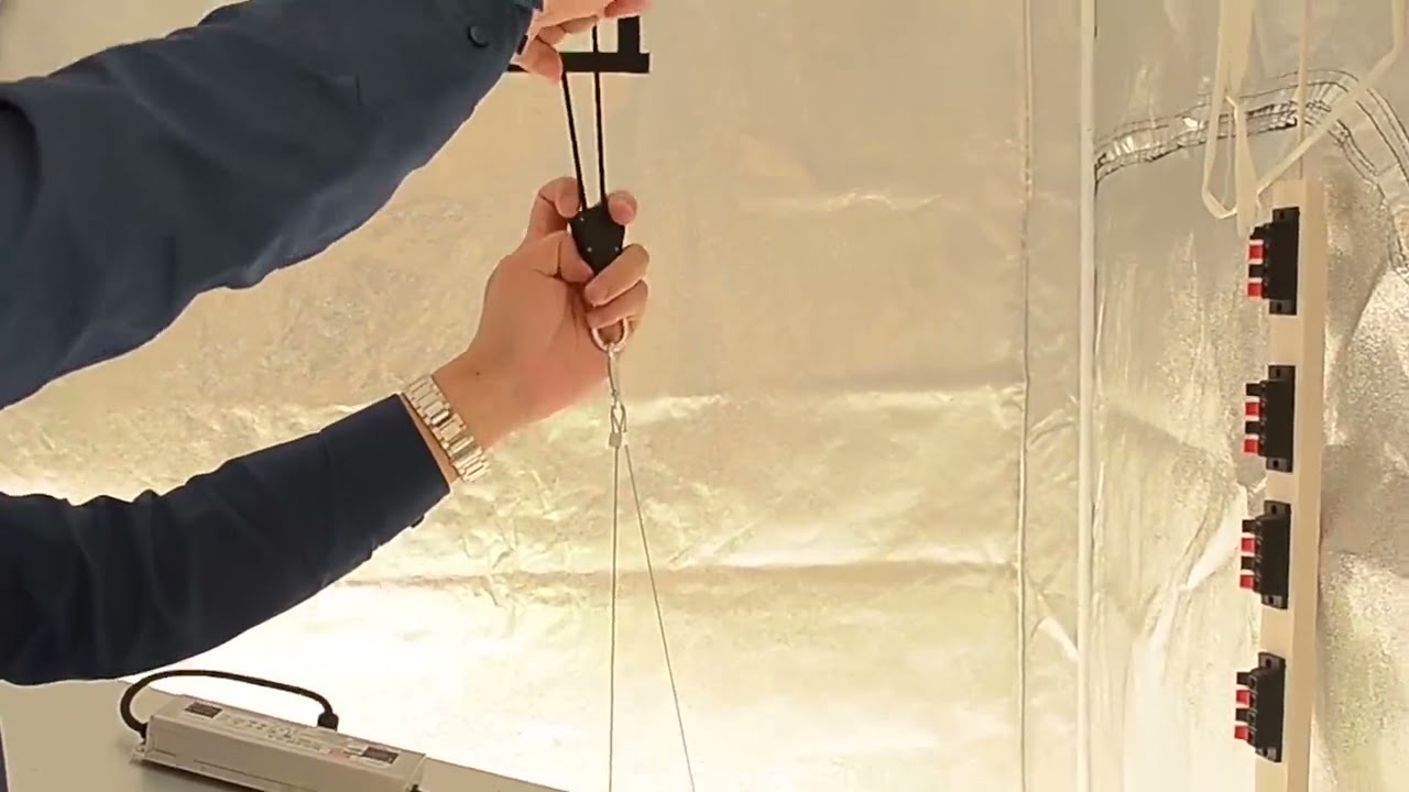 LED Quantum Board Grow Light Test