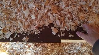 coop board chicken droppings