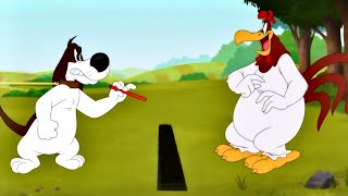 Foghorn Leghorn- Pea Shooter (Looney Tunes Cartoons Season 4)