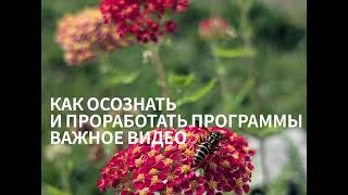 картинка: Как осознать и проработать программы. Всю жизнь как беззаботный  ребенок.  Нет желаний