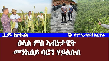 ዕላል ምስ ኣብነታዊት መንእሰይ ሳሮን (1ይ ክፋል)-DimTsi Hafash Eritrea/ድምጺ ሓፋሽ ኤርትራ