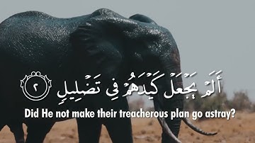 Surah Al-Fil (The Elephant) سورة الفيل