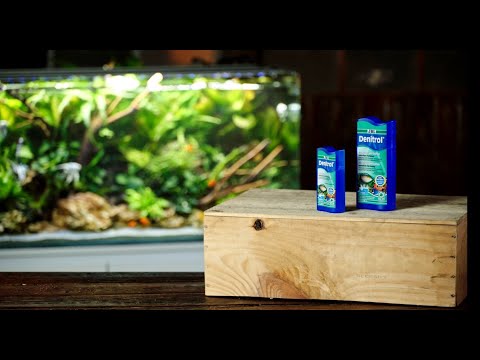 JBL Denitrol - Bacteria starter for the right start for your aquarium