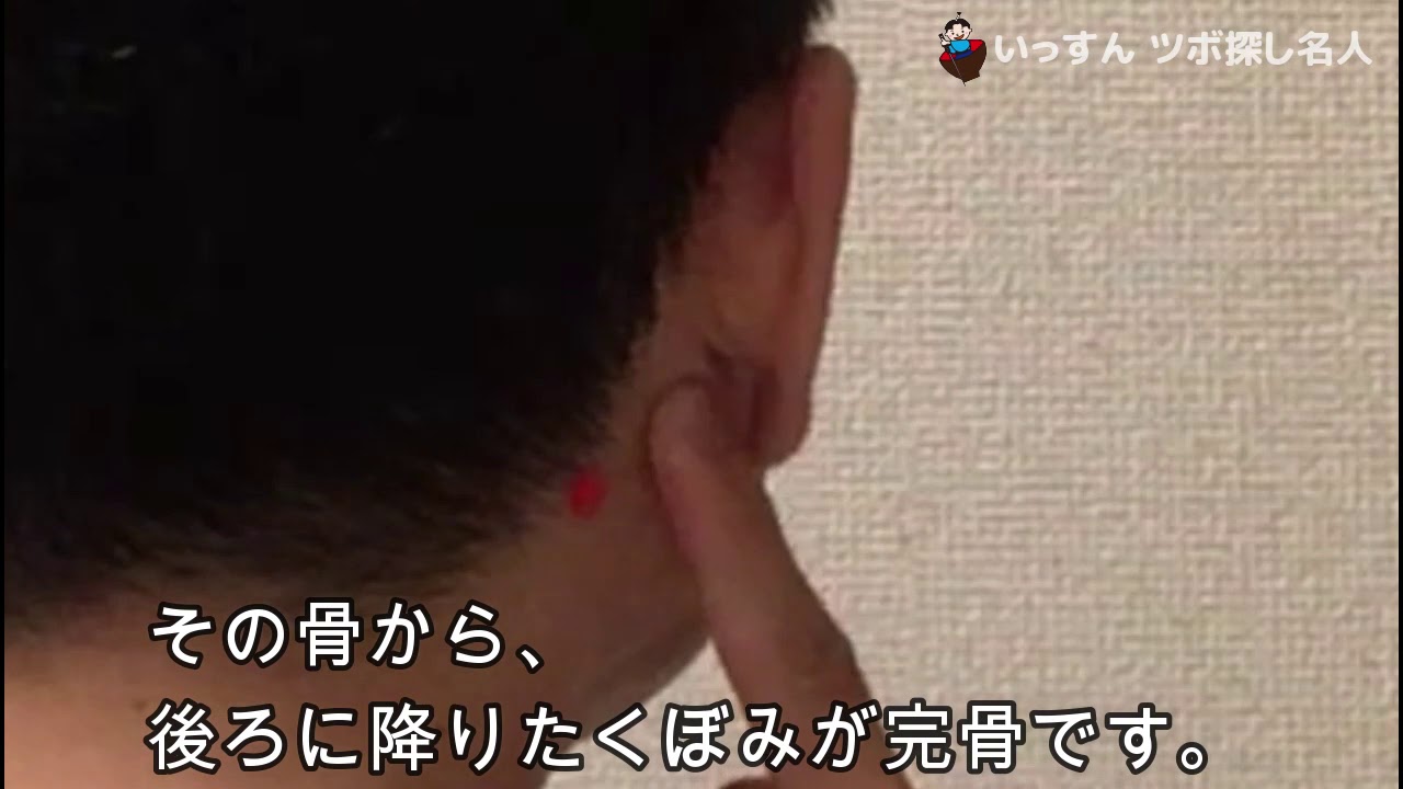 かんこつ 骨 位置 – 寛骨とは わかりやすく – 骨盤の位置を解剖図で解説!骨盤の名称について – GGVKJ