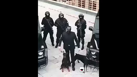 قال ايه راجعين بدموعهم 