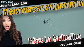 Riss in Aquarium Scheibe, was tun? 2 Neue Fische - Meerwasseraquarium einrichten - Reef Update #4 screenshot 4