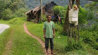 Semai people | Wikipedia audio article