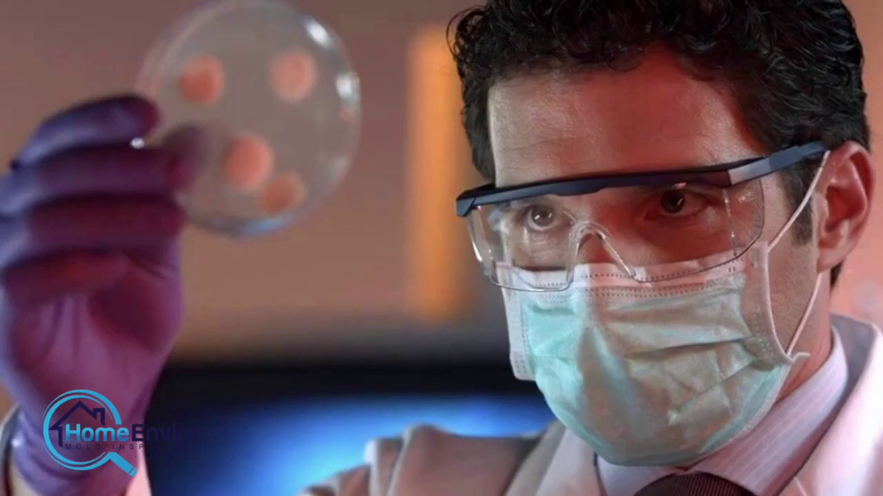 Home Enviro Inspection and Mold Testing Company