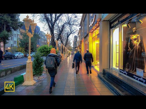 Walking on Vanak Street , TEHRAN, IRAN 2022 4K / پیاده‌روی در خیابان ونک تهران