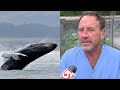 Cape Cod lobster diver describes being swallowed by humpback whale
