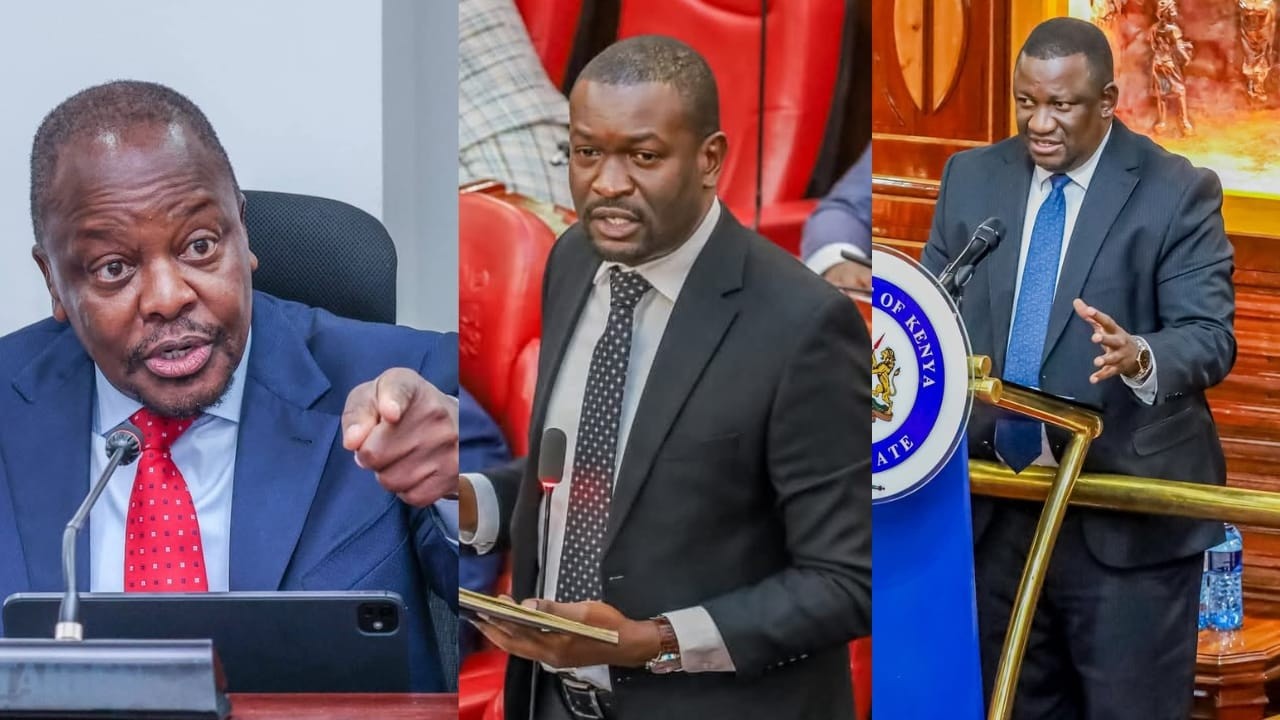 Live: Cabinet Secretaries Mutahi Kagwe, Salim Mvurya appear before Senate to answer questions