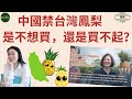 中國人還吃得起台灣🇹🇼鳳梨🍍嗎？中國🇨🇳是不想買，還是買不起？#台灣鳳梨 #資金外逃 #櫻桃自由（2021/02/26）