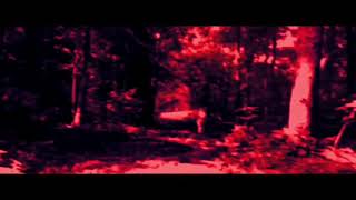 The visitor 2 teaser 1