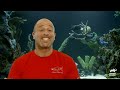 Crazy Fermenter Turned Fish Tank! | Tanked | Animal Planet