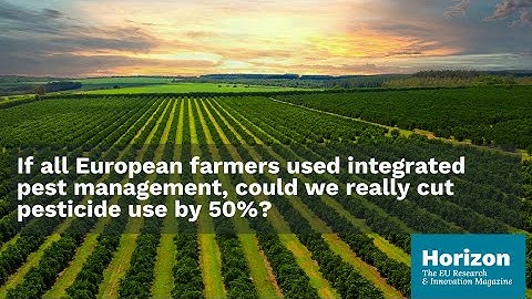 Smarter agriculture: farmers work with nature to cut pesticides