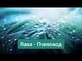 Rasa - Пчеловод