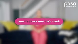 How To Check Your Cat's Teeth | Pet Health Advice by PDSA 19,275 views 1 year ago 1 minute, 18 seconds