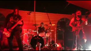 Food for Maggots - Chesta