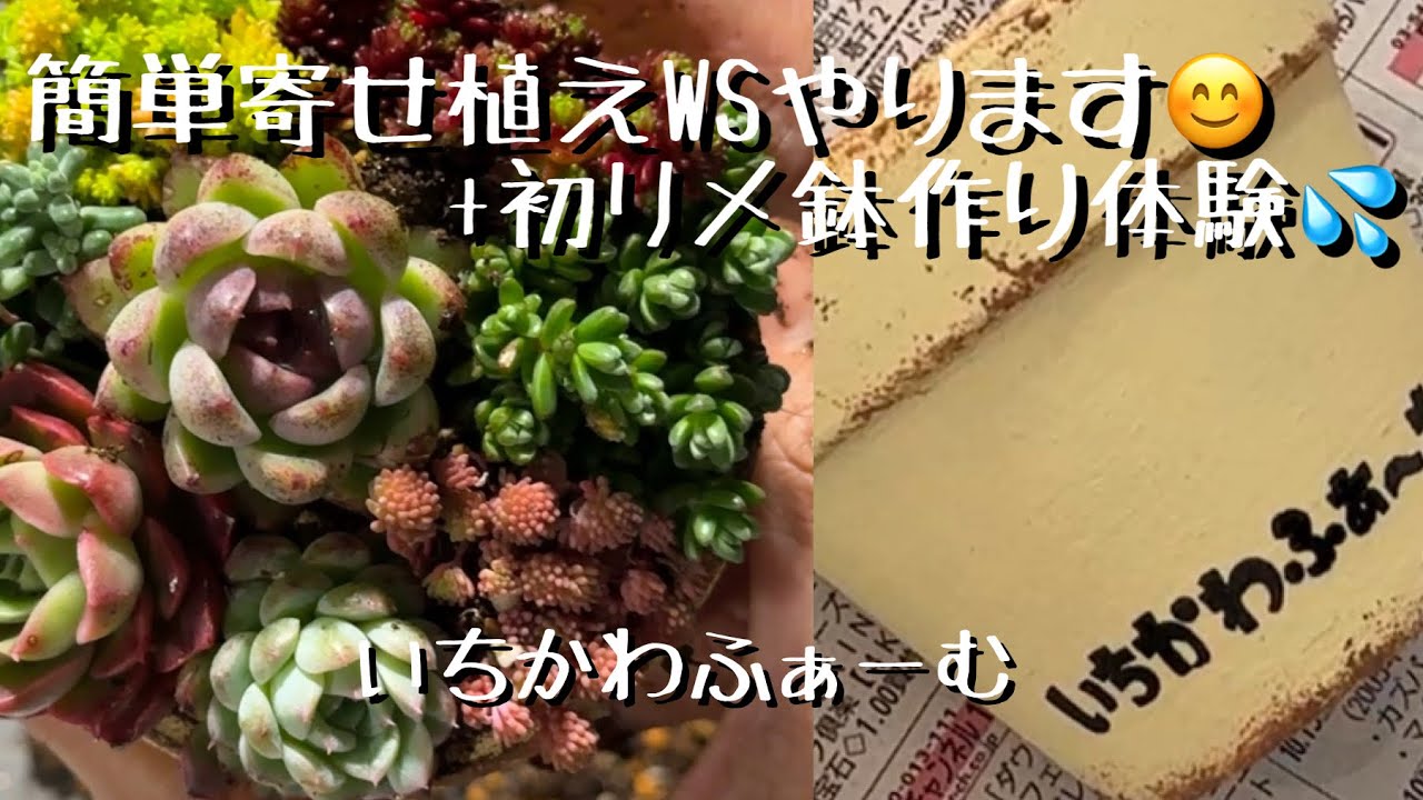 お手軽寄せ植えと初リメ鉢作り😊 - YouTube