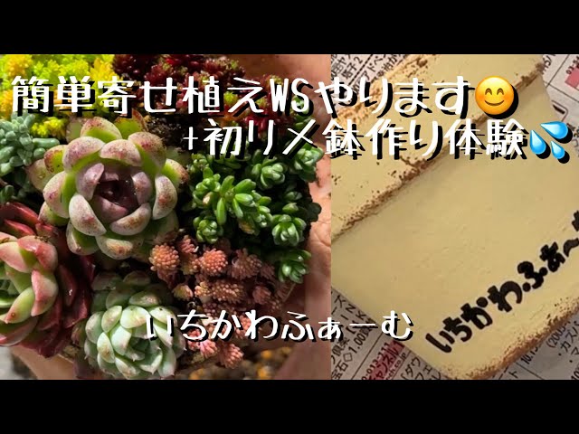 お手軽寄せ植えと初リメ鉢作り😊 - YouTube