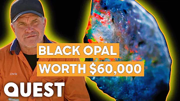 RARE Black Opal Makes The Cheals $60,000 Despite Bad Week! | Outback Opal Hunters