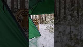 Famous What should you do when you encounter this in the wild? Wealth