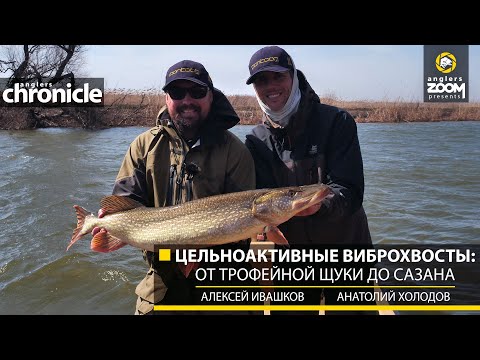 Цельноактивные виброхвосты: от трофейной щуки до сазана. А. Ивашков, А. Холодов. Anglers Cronical