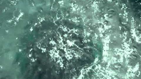 Introducing The Bubbleponics