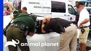 Dog Rescued From Extreme Heat In A Locked Car | North Woods Law