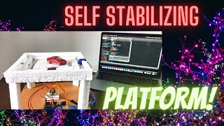 Self Stabilizing Platform