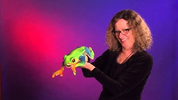 Folkmanis® Red-Eyed Tree Frog Puppet Demo - Retired