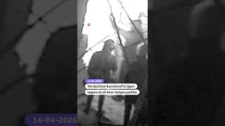 Verdachten kunstroof krijgen lagere straf door helpen politie