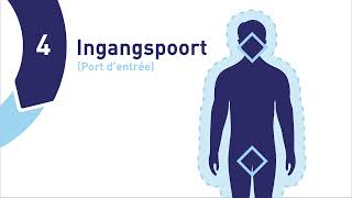 IP \u0026 AMR Animatie Besmettingscysclus