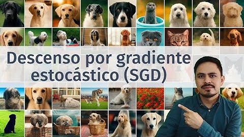 Descenso por gradiente estocástico SGD