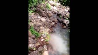 Rumbo Pa La Sierra-Los Plebes Chapito I Don Pablo