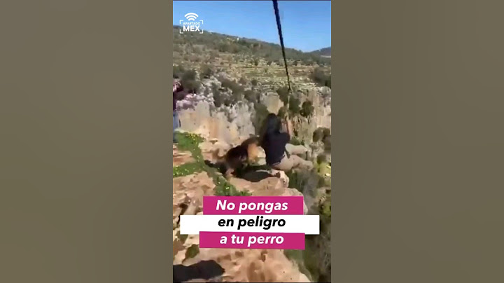No pongas en peligro a tu perro #viral #noticias #trend #perros #trending